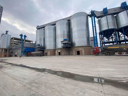 蘭西縣 民營(yíng)經(jīng)濟(jì)驅(qū)動(dòng)高質(zhì)量發(fā)展，建筑材料銷售成為強(qiáng)勁新動(dòng)能