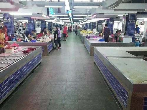 創新高 珠海新一期文明成績單出爐 得滿分的是